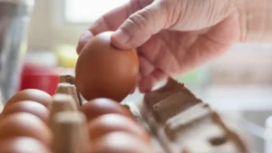 eggs recalled salmonella