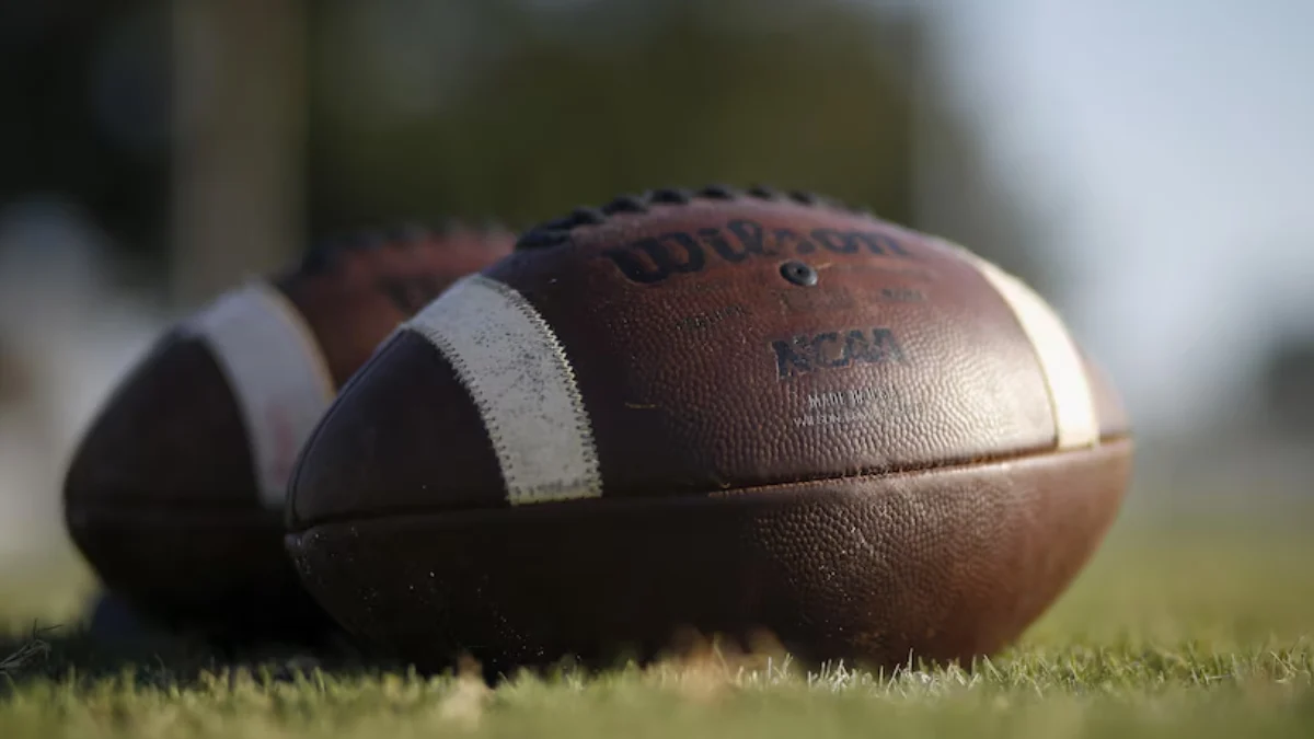 Venomous Snake on Arkansas Football Helmet