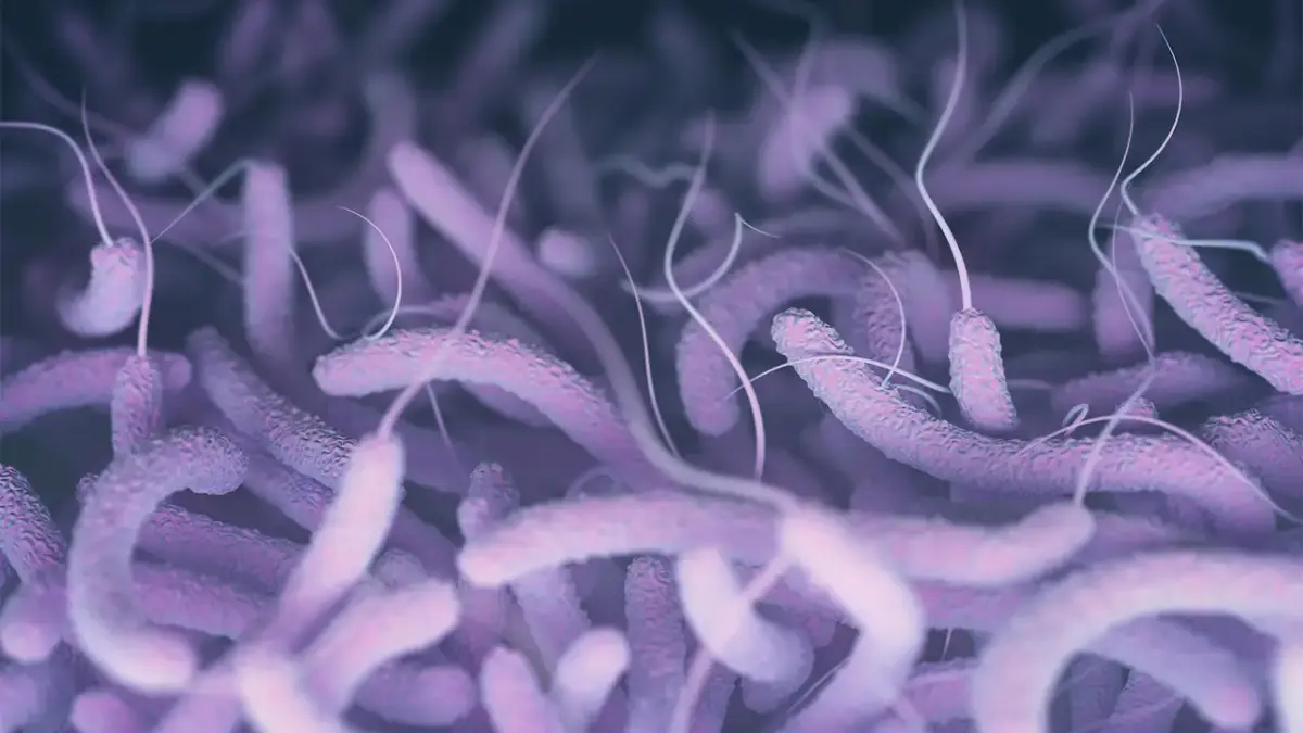 vibrio virus kills 5 members