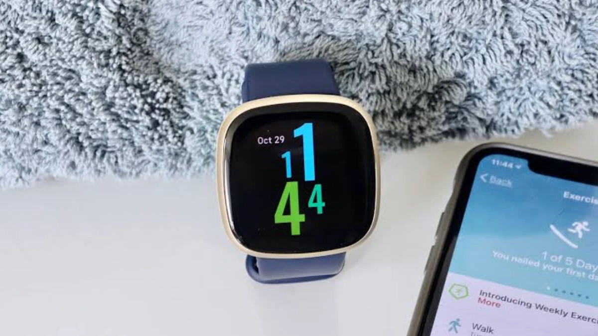 google fitbit edge